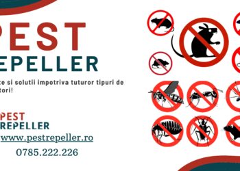 Cum poți ține rozătoarele departe de mașina ta?