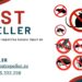 Cum poți ține rozătoarele departe de mașina ta?